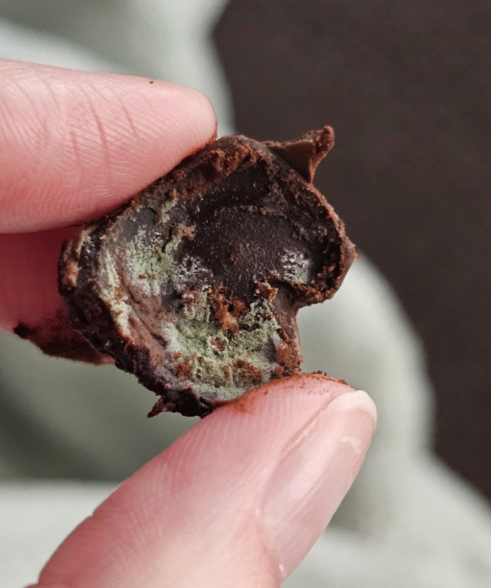 A hand holding a piece of chocolate with mold inside