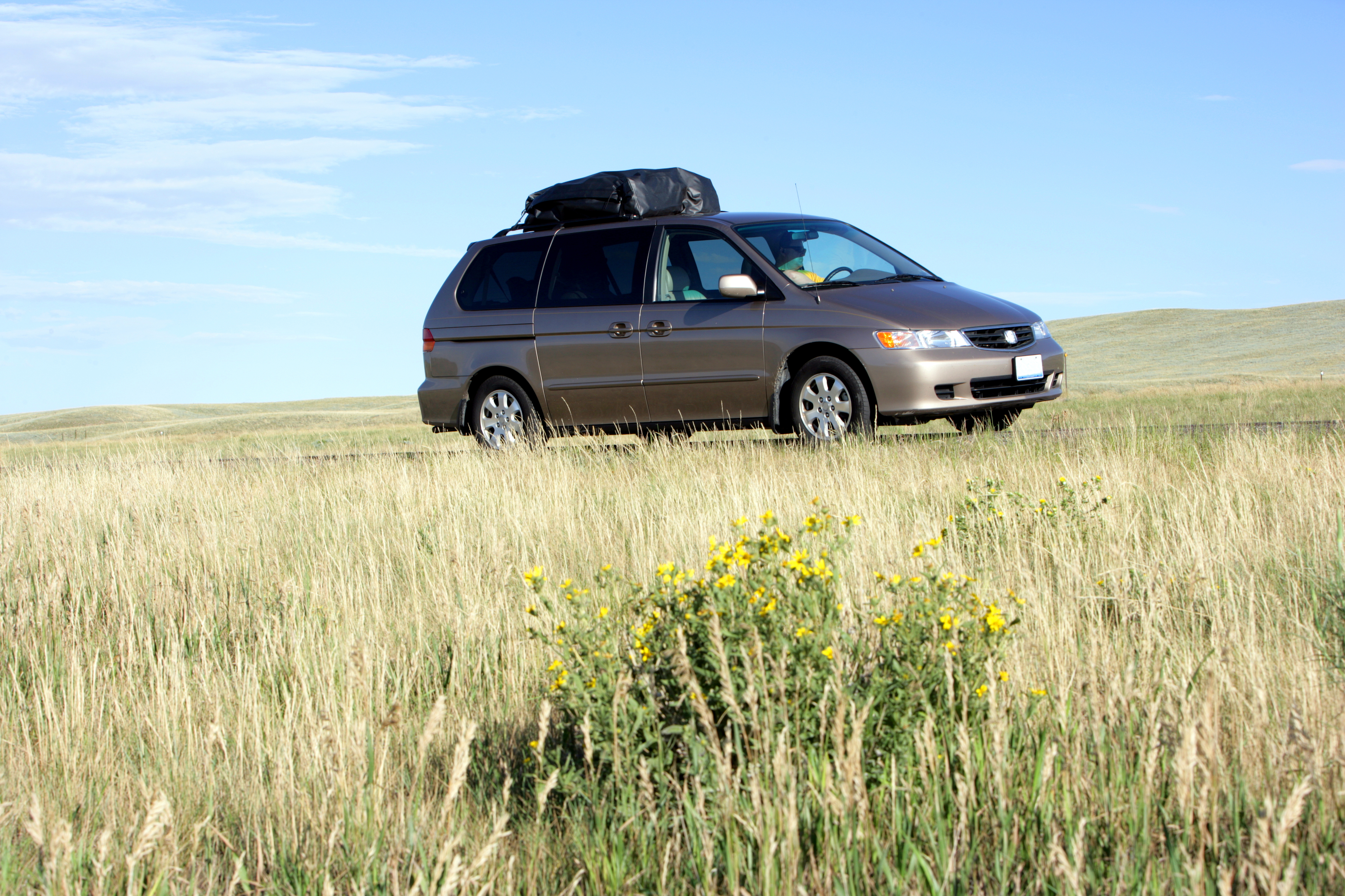 A minivan parked on a grassy field with a black cargo bag on the roof. The sky is clear with sparse clouds