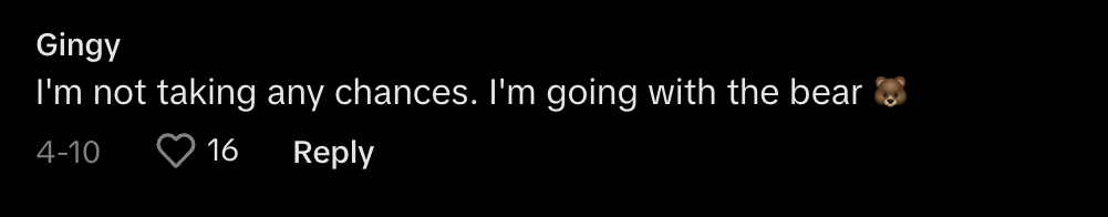 Comment by Gingy: &quot;I&#x27;m not taking any chances. I&#x27;m going with the bear&quot; with a bear emoji. 16 likes