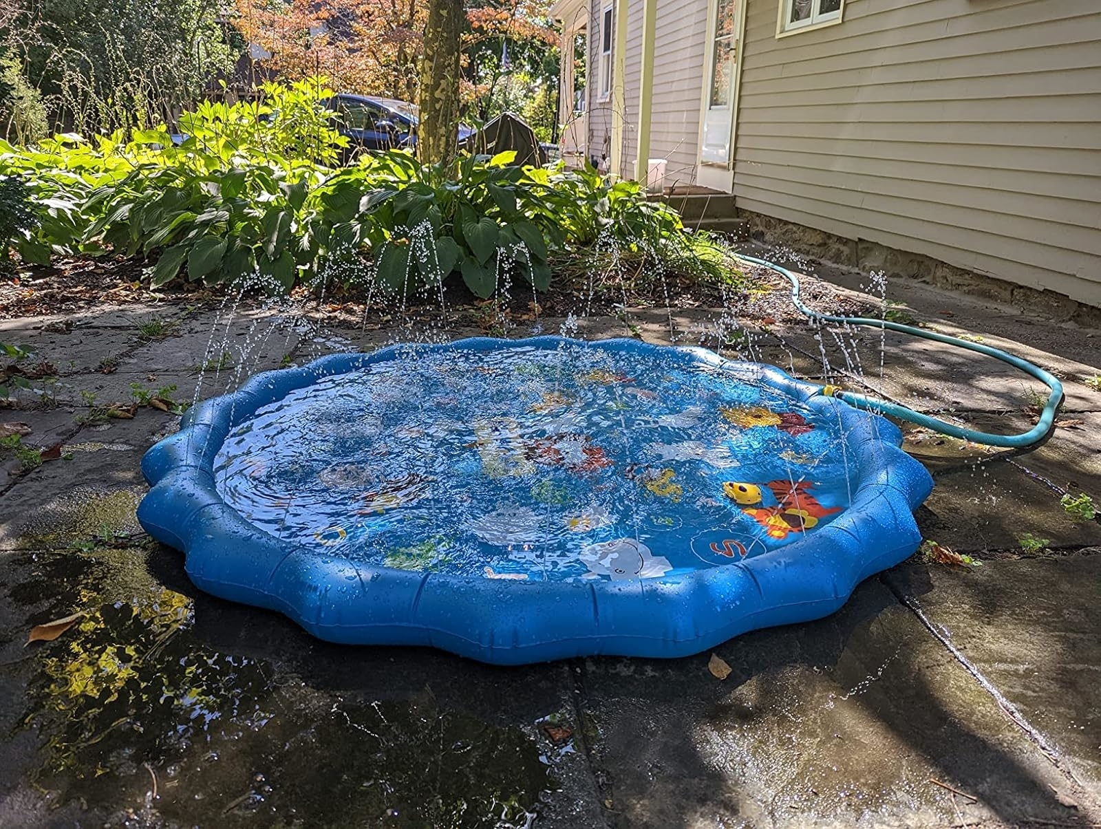 Children&#x27;s inflatable splash pad with fish design, water spraying from edges, and garden background. Ideal for outdoor summer fun and play