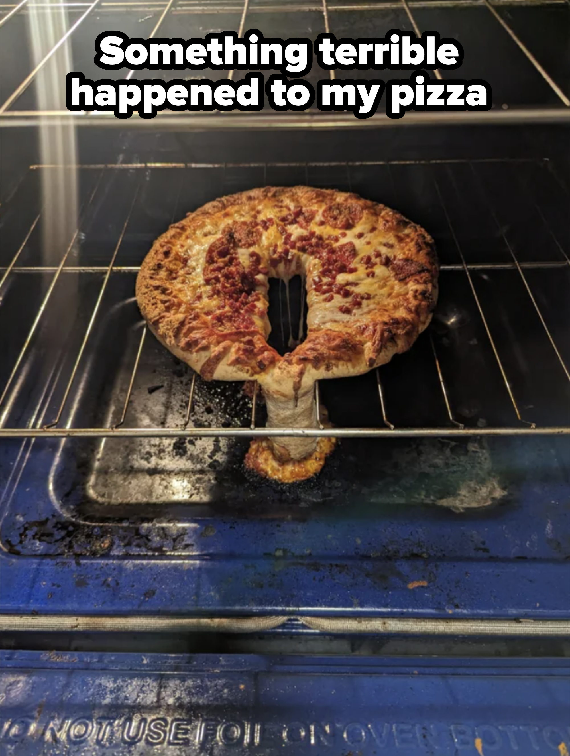 A pizza in the oven collapsed through the rack, creating a mess below it
