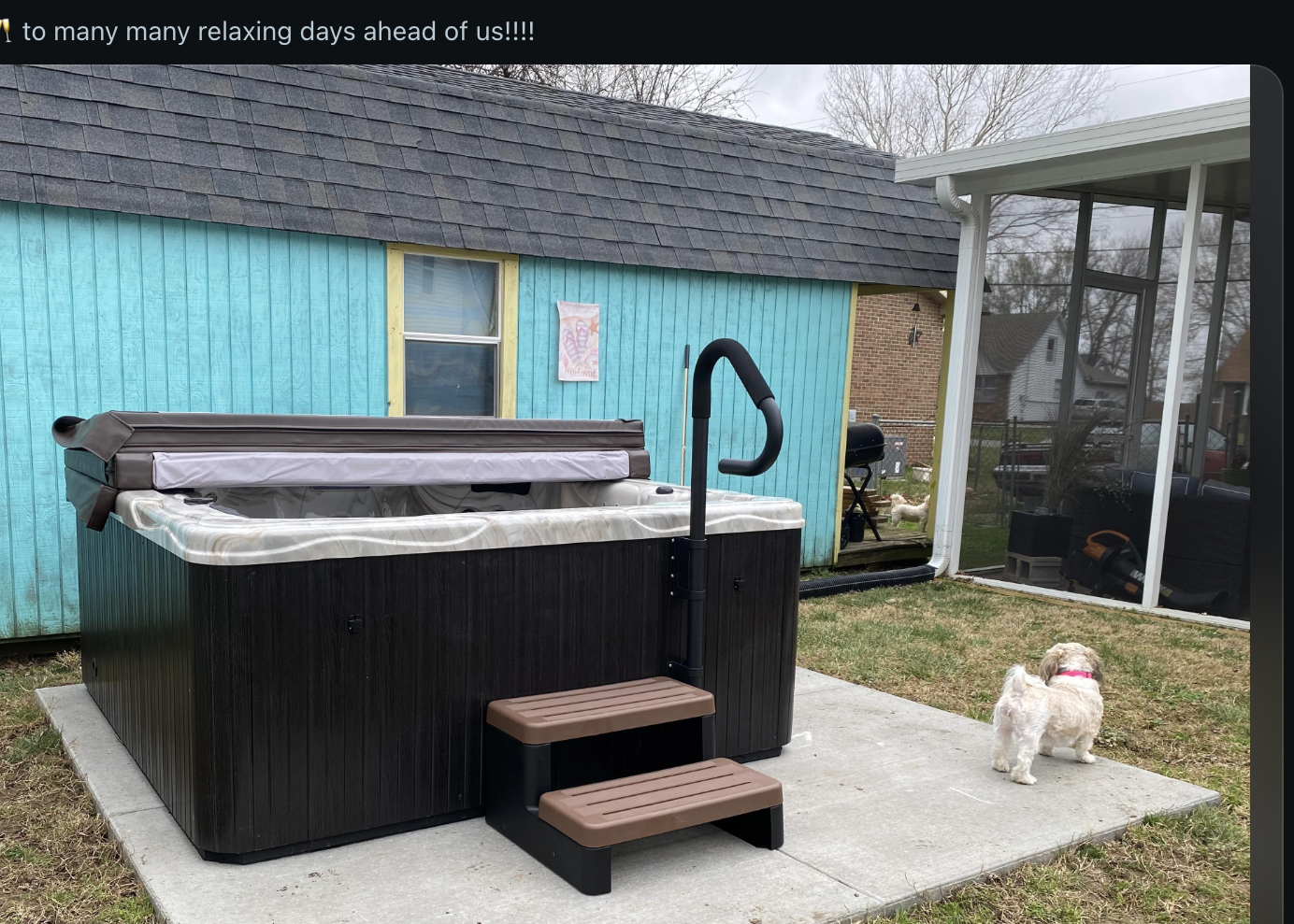 Reddit webpage screenshot showing a hot tub on a patio with steps and a sink. A small dog sits nearby