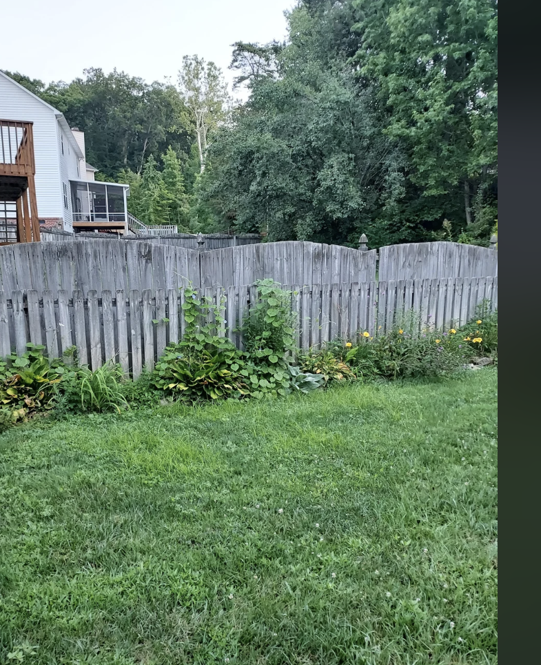 Reddit post titled &quot;Is a 6 ft fence worth the extra privacy?&quot; with a photo of a backyard featuring a tall wooden fence and a house in the background