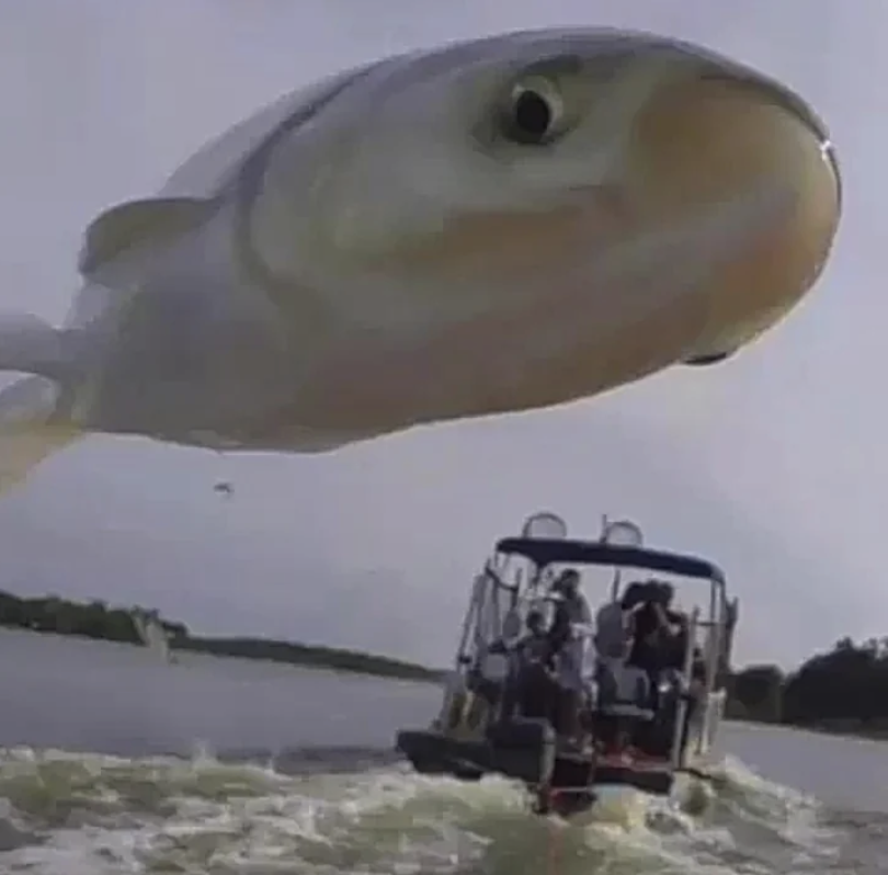 Large fish appears flying over a boat with several people on a river, resembling a playful optical illusion