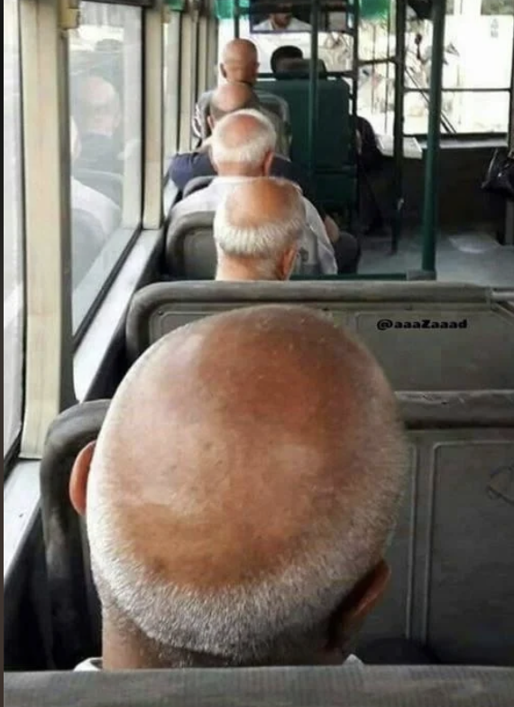 Bus passengers with bald heads and white hair are seated in line, making an unintentionally humorous pattern