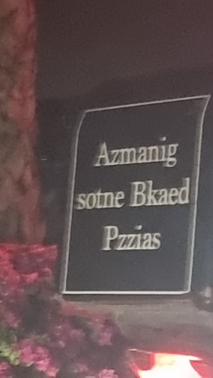 Blurry photo of a sign with incomprehensible text, partially obscured by foliage