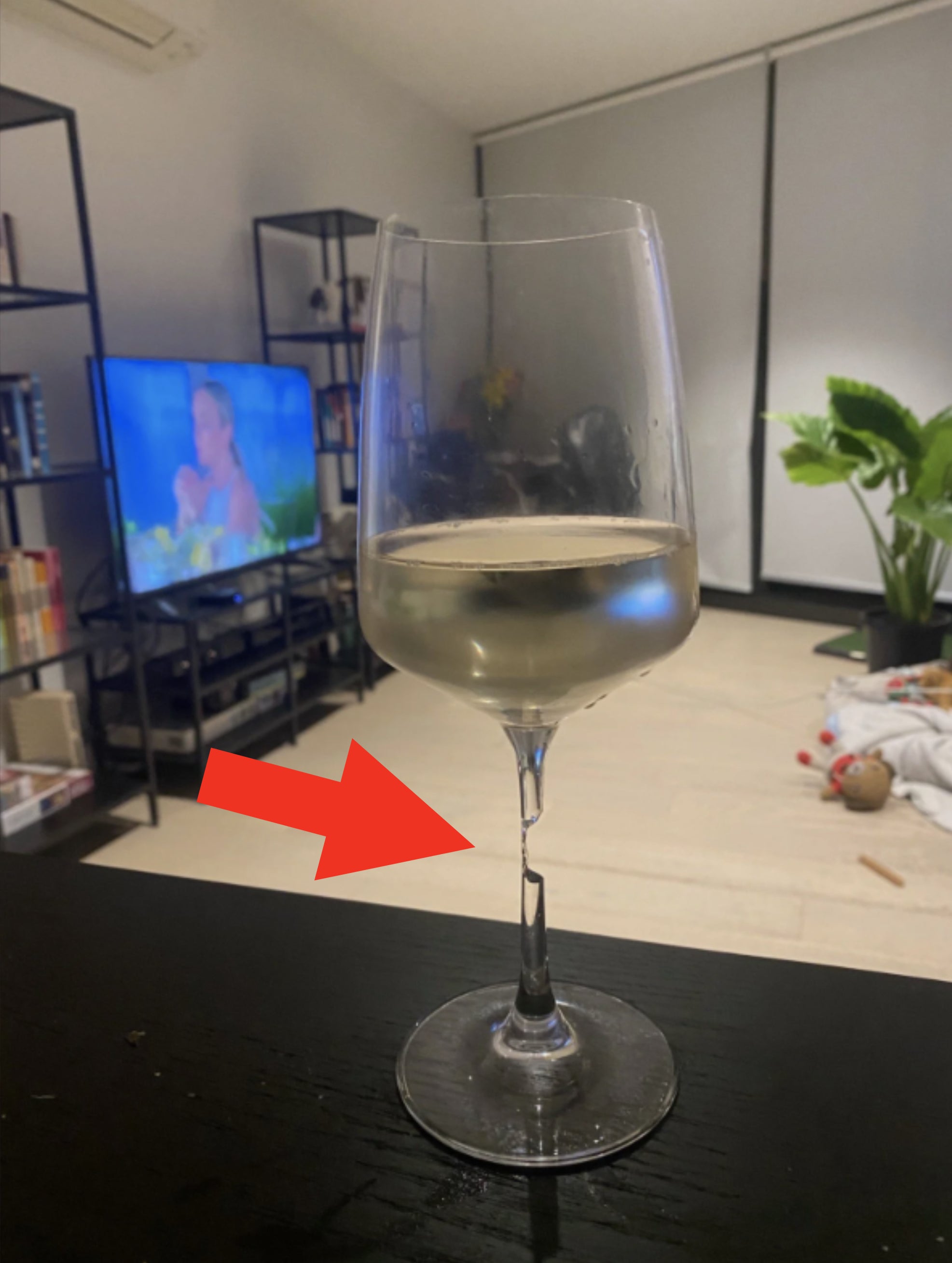 A glass of white wine on a table, with a TV showing a person in the background, modern living room with plants and bookshelves