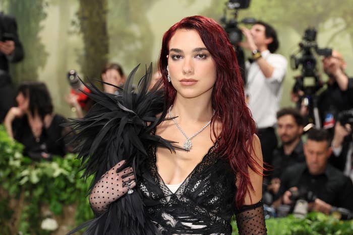 Dua Lipa at a formal event, wearing an elegant lace gown with feathered details and a diamond necklace, standing in front of photographers and a natural backdrop