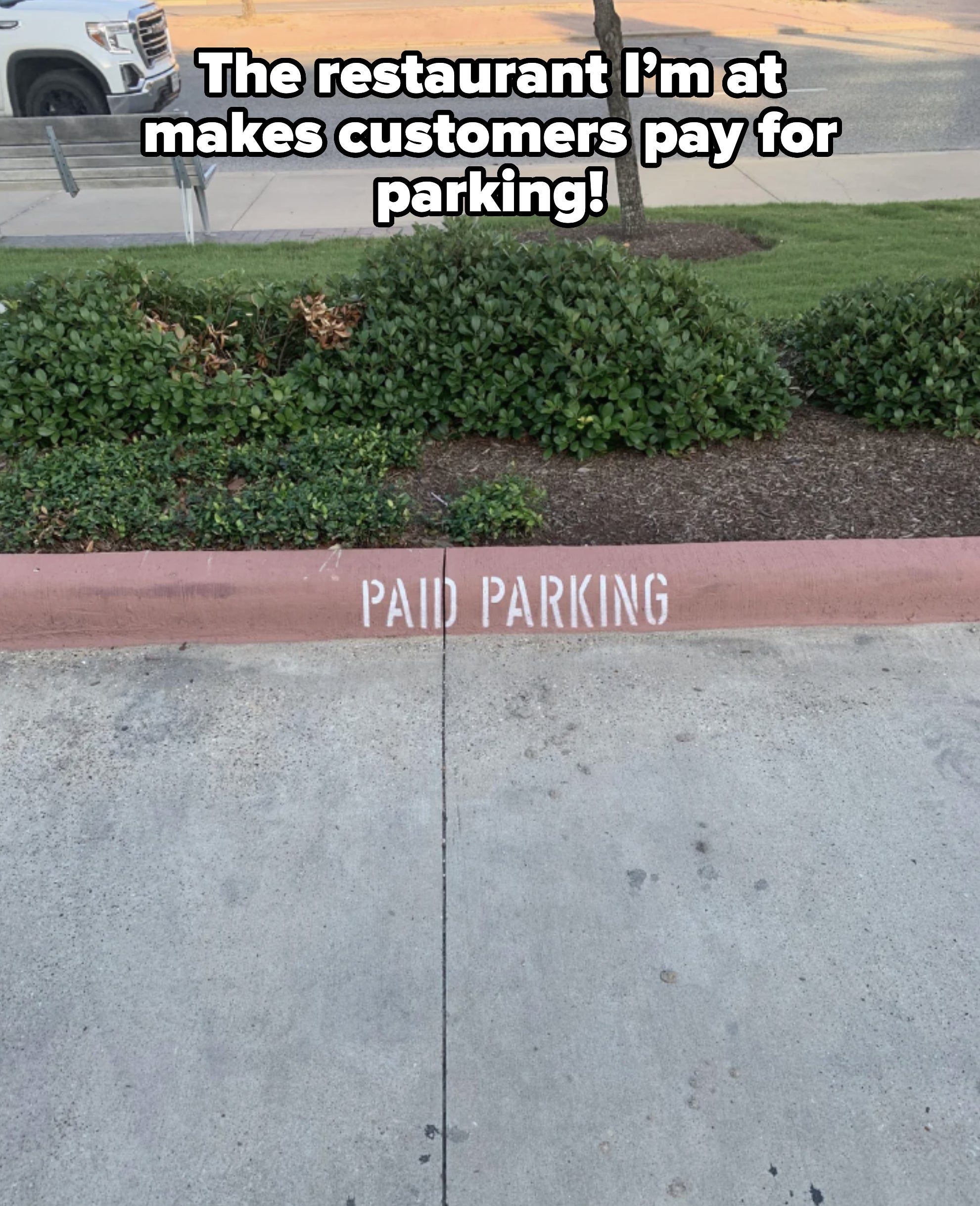Curbside with the words &quot;PAID PARKING&quot; painted on the sidewalk, near shrubs and a parked white vehicle