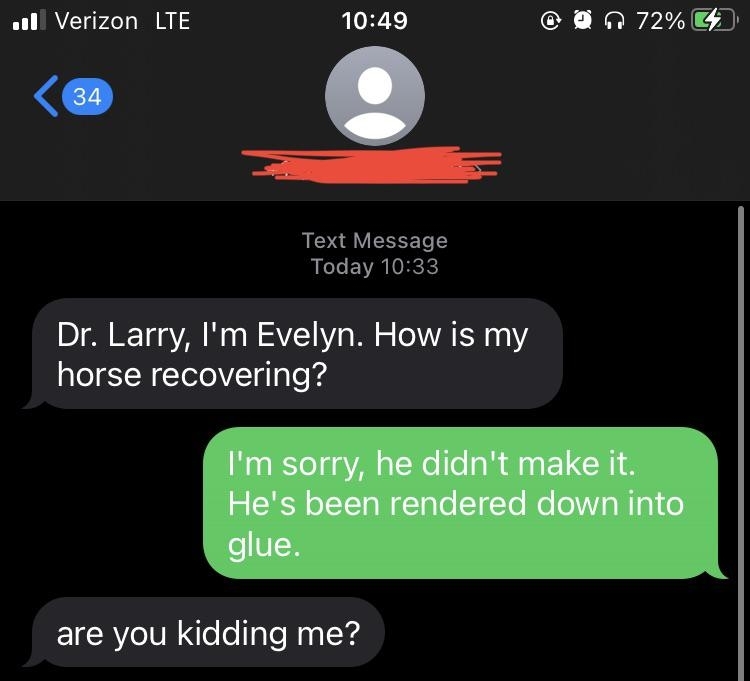 Text message exchange. Evelyn asks Dr. Larry about her horse&#x27;s recovery. Larry responds that the horse didn&#x27;t make it and was rendered into glue. Evelyn is shocked