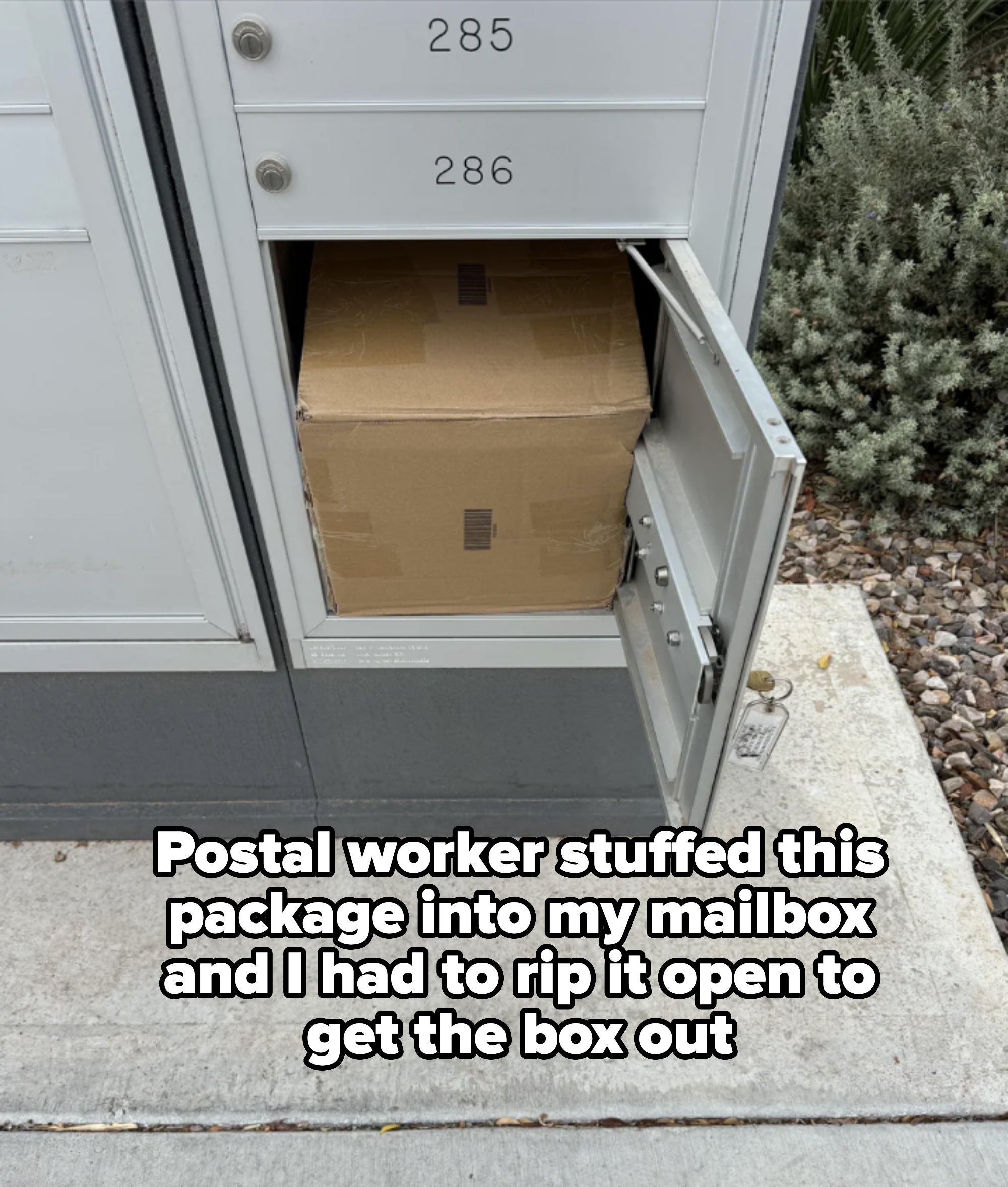A mailbox with the door open revealing a large package inside. The mailbox is numbered 286
