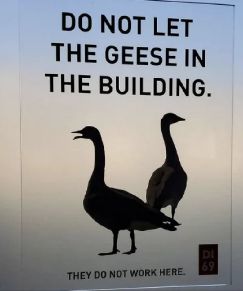 A sign with silhouettes of two geese and the text &quot;DO NOT LET THE GEESE IN THE BUILDING. THEY DO NOT WORK HERE.&quot;
