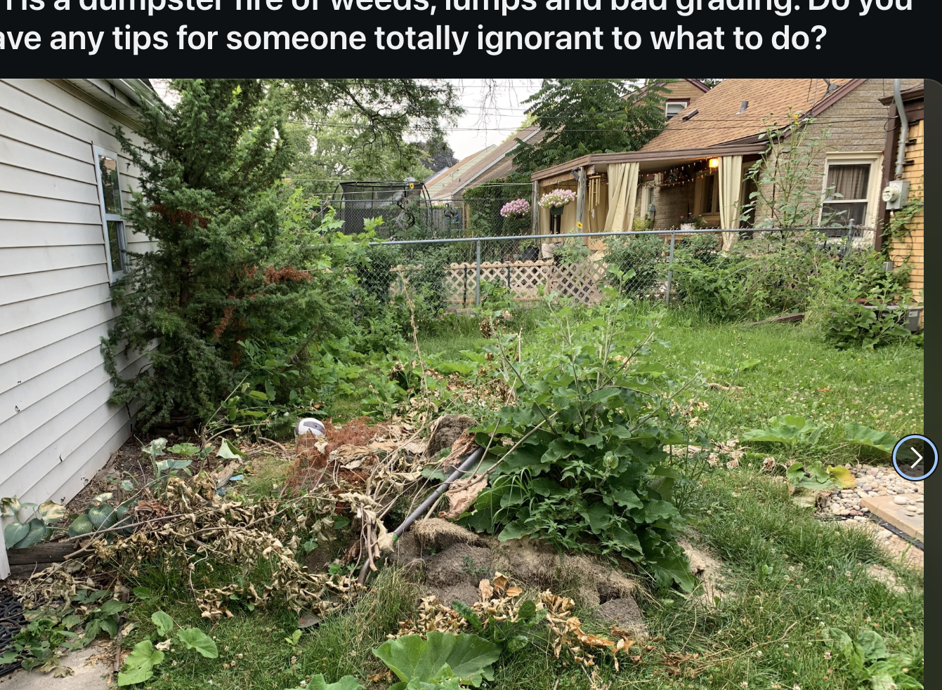 Screenshot of a Reddit post by user Clawncare titled &quot;My lawn is a dumpster fire of weeds, lumps and bad grading. Do you guys have any tips for someone totally ignorant to what to do?&quot; with comments and upvotes