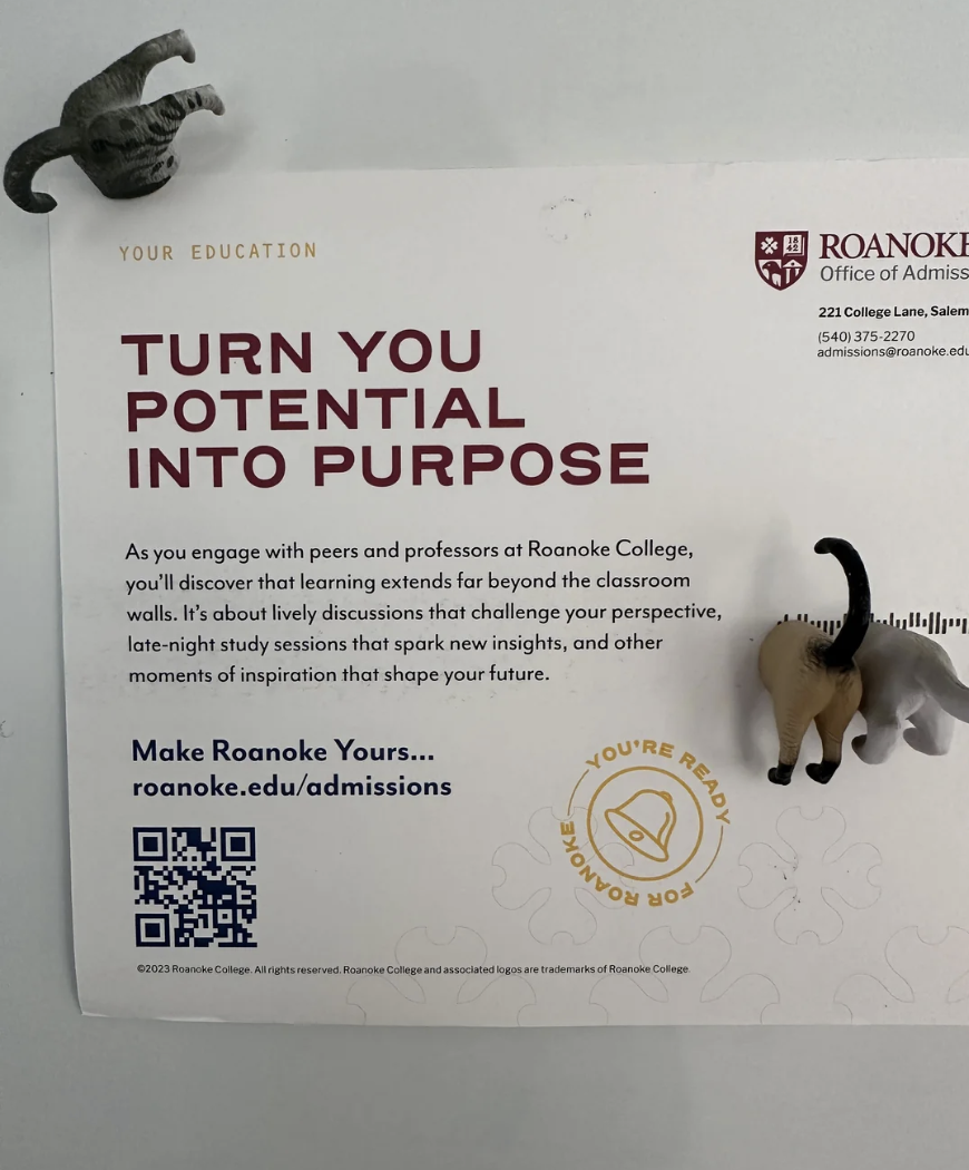 A promotional flyer from Roanoke College encouraging students to turn their potential into purpose, featuring two cat figurines
