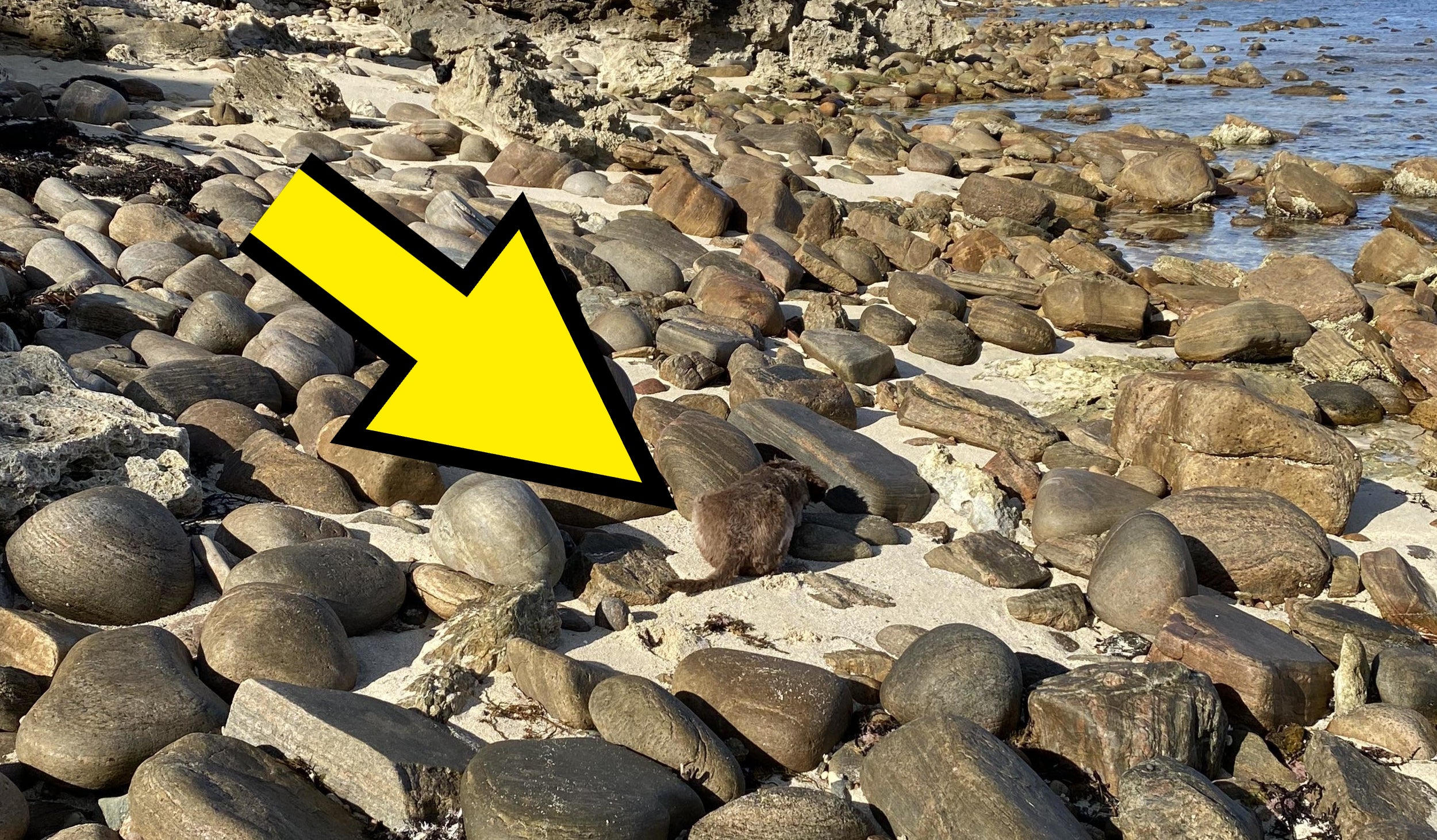 Rocky beach with large, smooth boulders scattered on the sand, coastal rocks and vegetation in the background. No people in the image