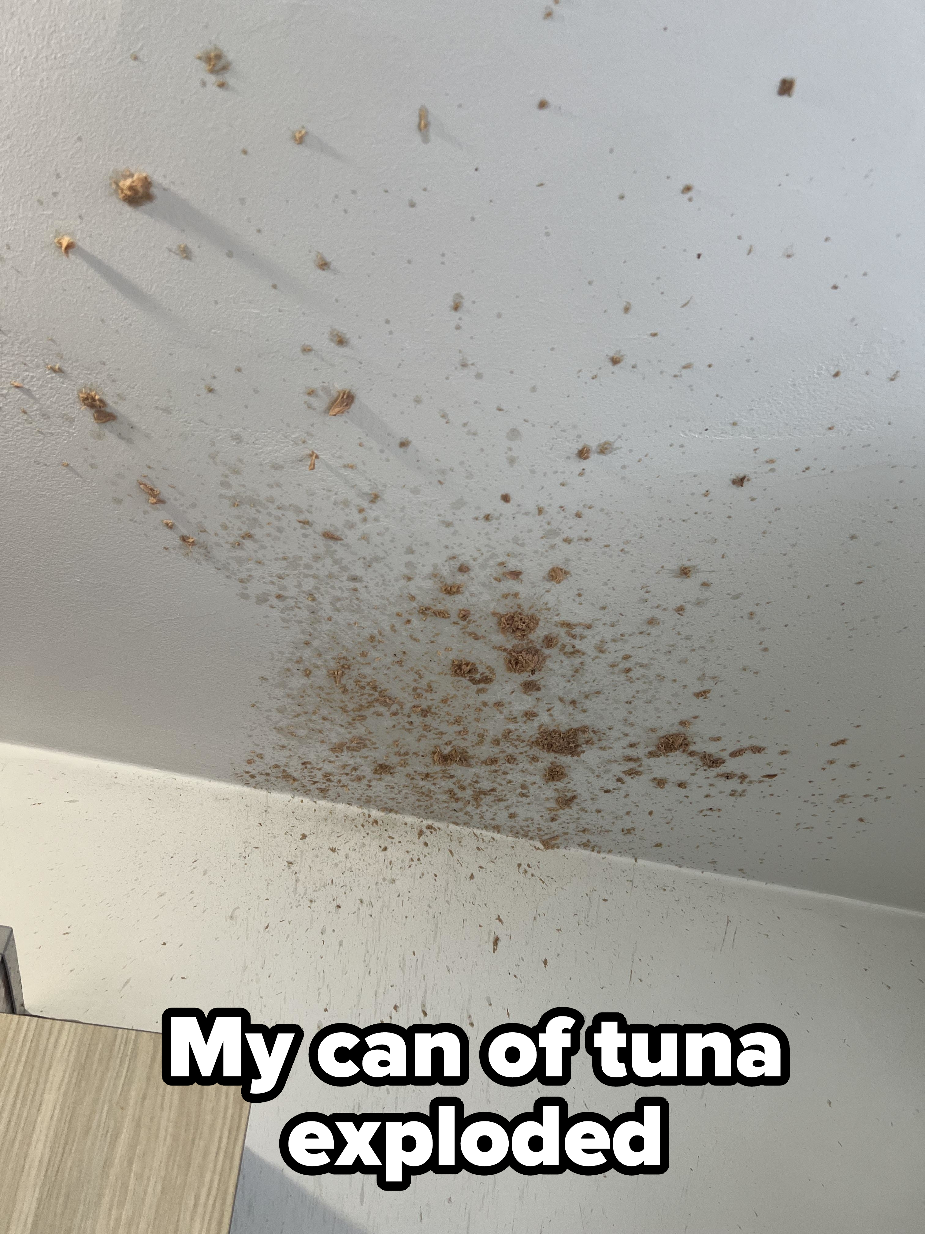 Ceiling splattered with dried cereal or food, likely from an accidental spill or explosion