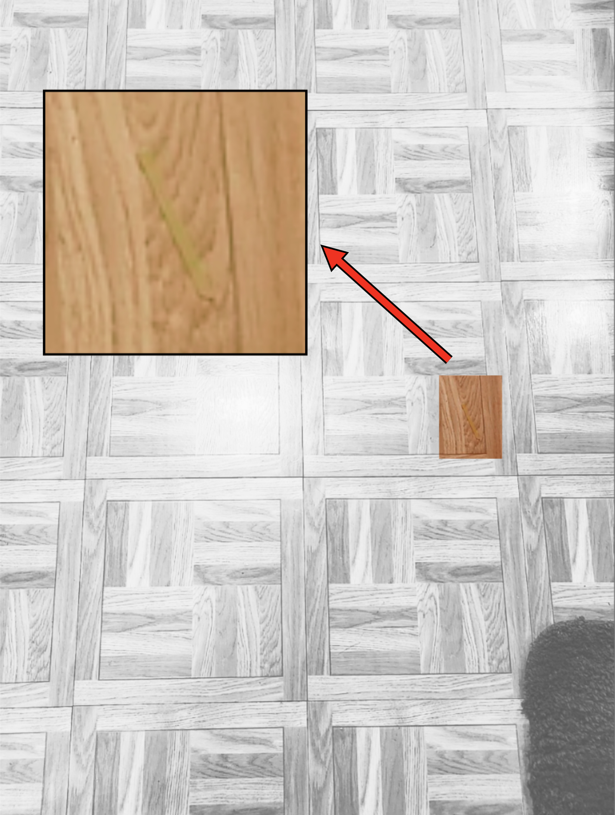 Close-up of a parquet floor with woodgrain textures. A small green object, possibly a piece of string or plant, is highlighted on one of the tiles