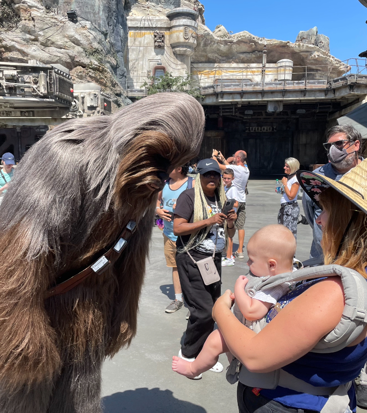 Chewbacca in his iconic costume interacts with a baby held by an unnamed person in a baby carrier. Other park visitors and structures are visible in the background