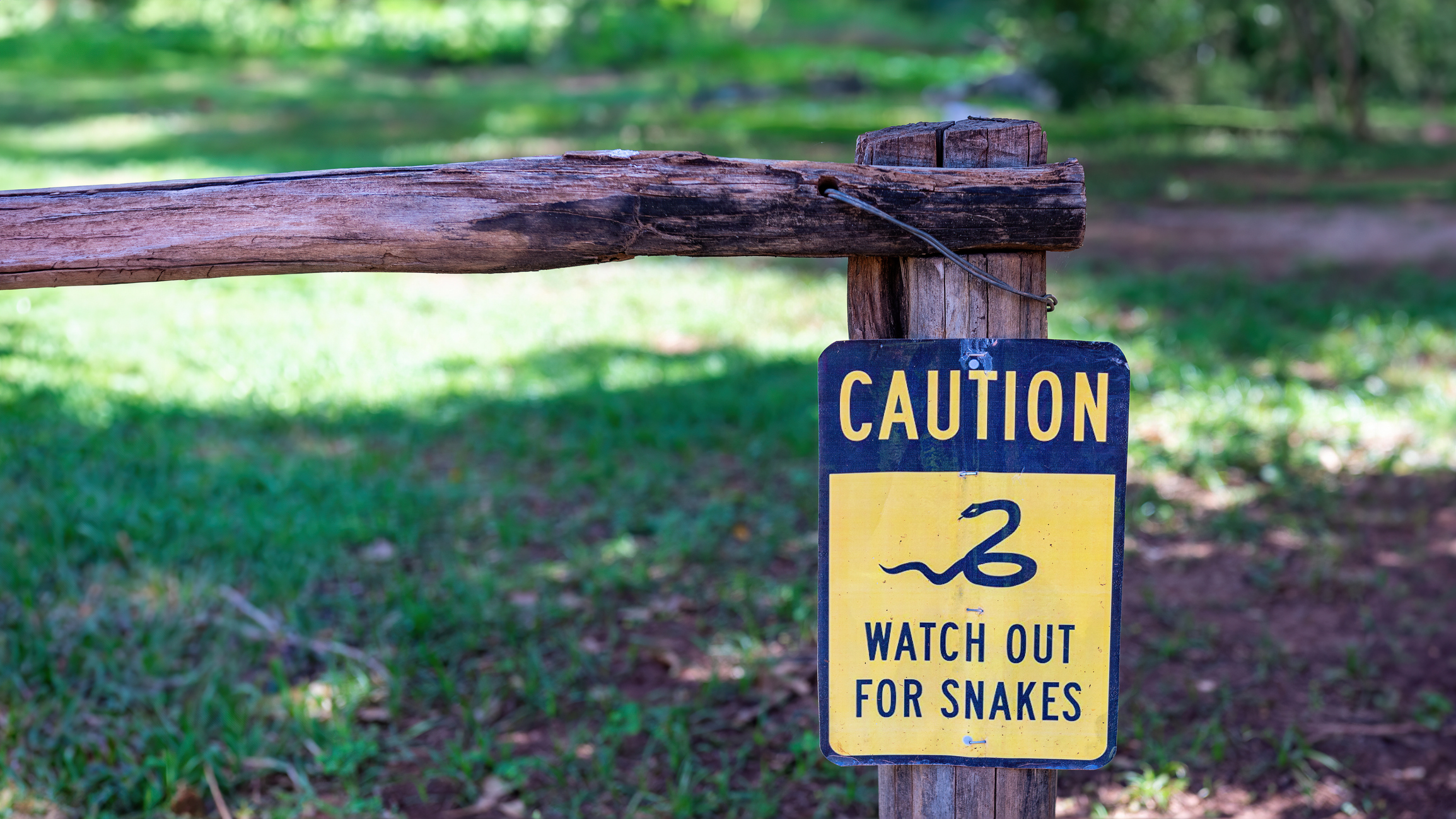 A caution sign on a wooden post reads &quot;Watch out for snakes&quot; with an image of a snake. The background is a grassy area