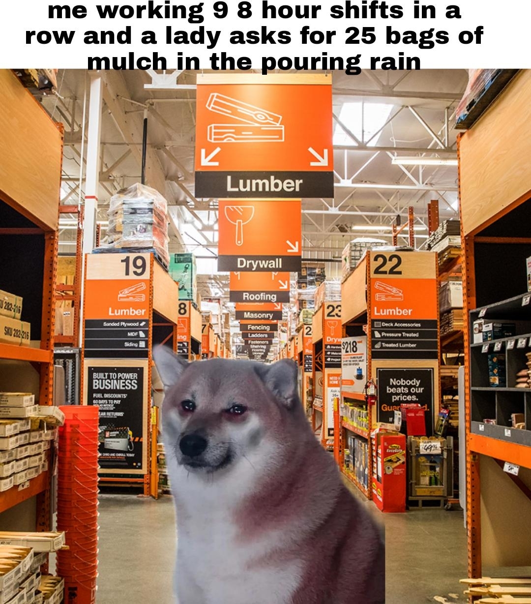 Dog standing in a hardware store aisle labeled &quot;Lumber.&quot; Top text: &quot;me working 9 8 hour shifts in a row and a lady asks for 25 bags of mulch in the pouring rain.&quot;