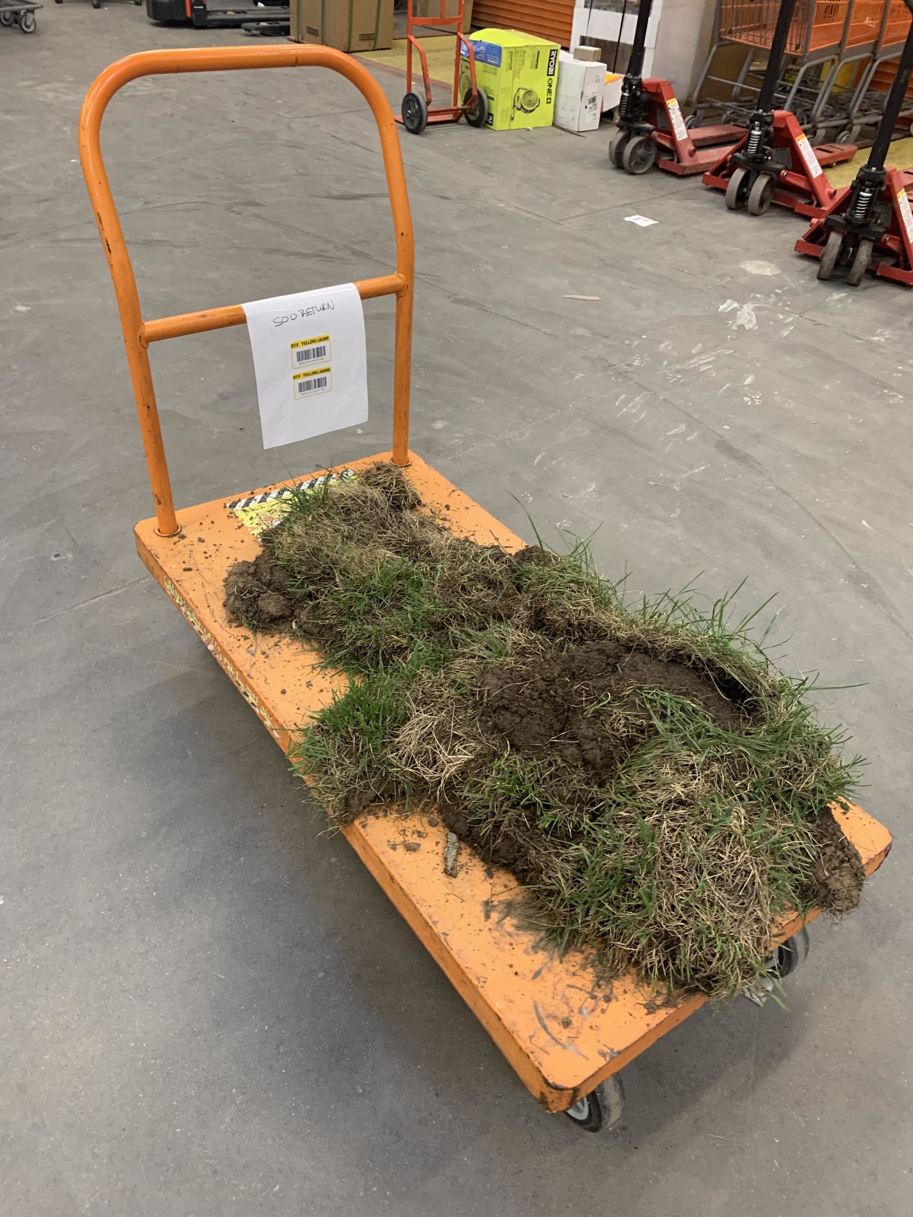 Orange flatbed cart loaded with a patch of soil and turf grass inside a store. Boxes and tools can be seen in the background