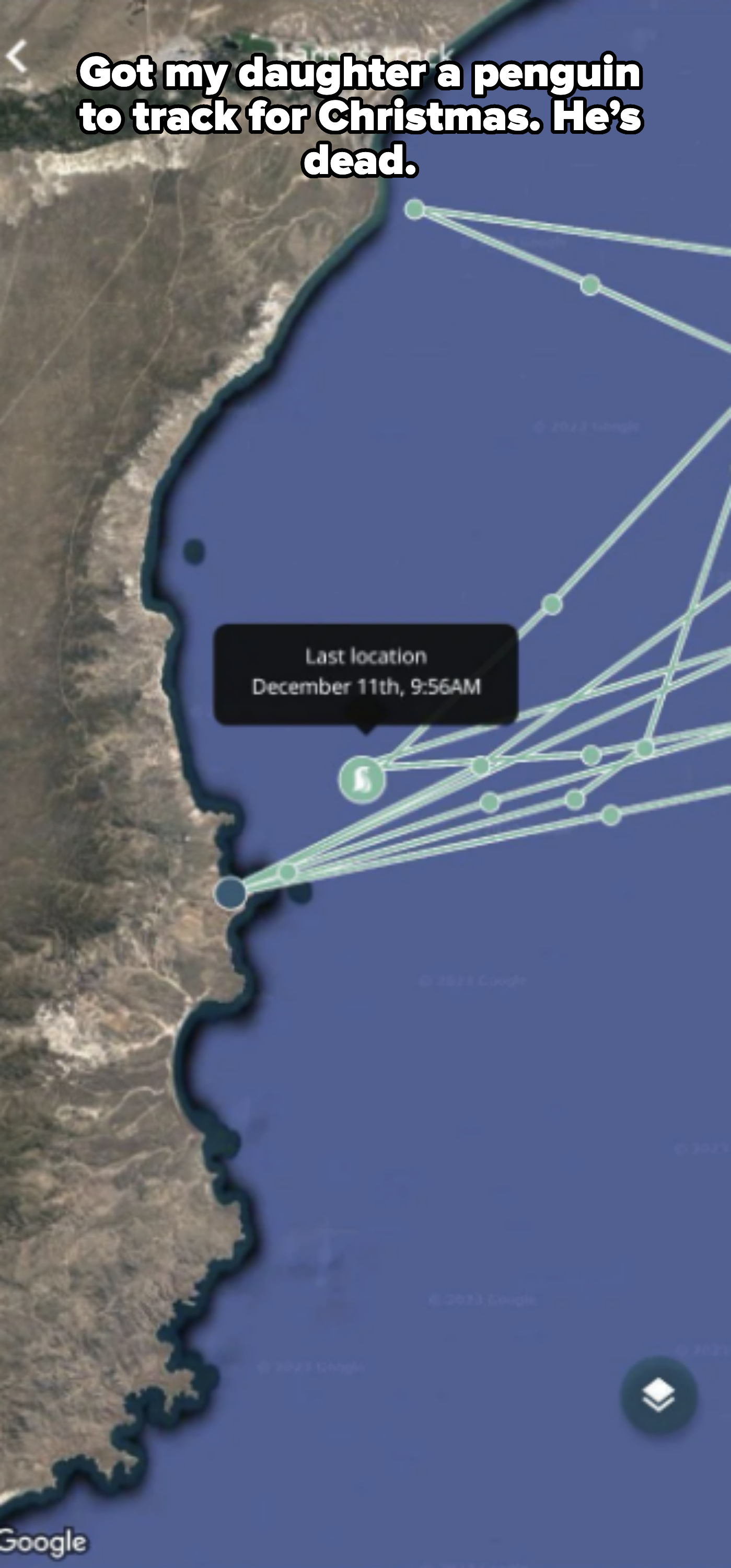 A map shows a tracking route along a coastline. A marker indicates the last known location on December 11th at 9:56 AM