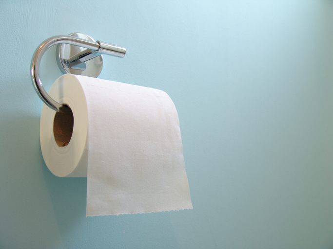 A toilet paper roll hanging on a wall-mounted holder