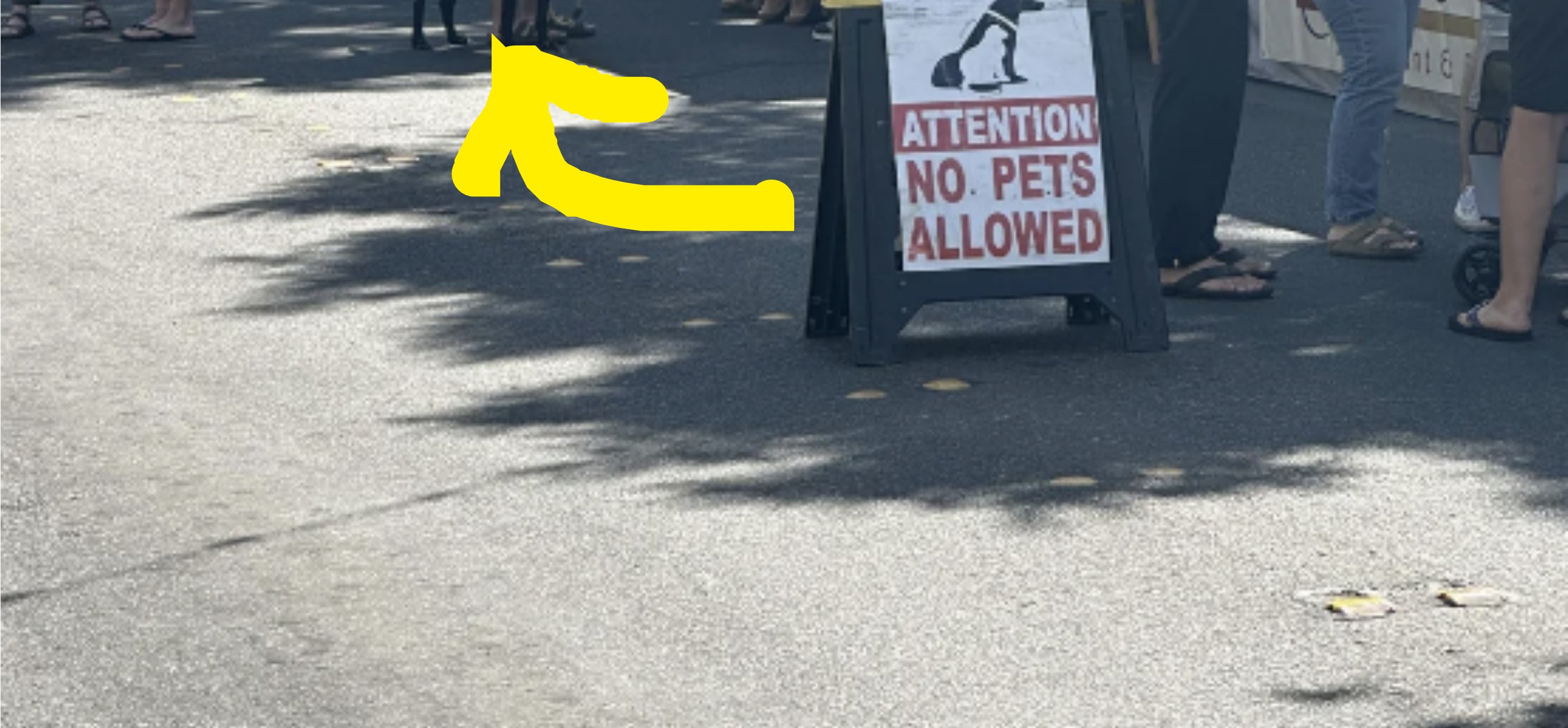 An outdoor market scene with a sign that reads &quot;Attention: No Pets Allowed&quot; with people and stalls in the background