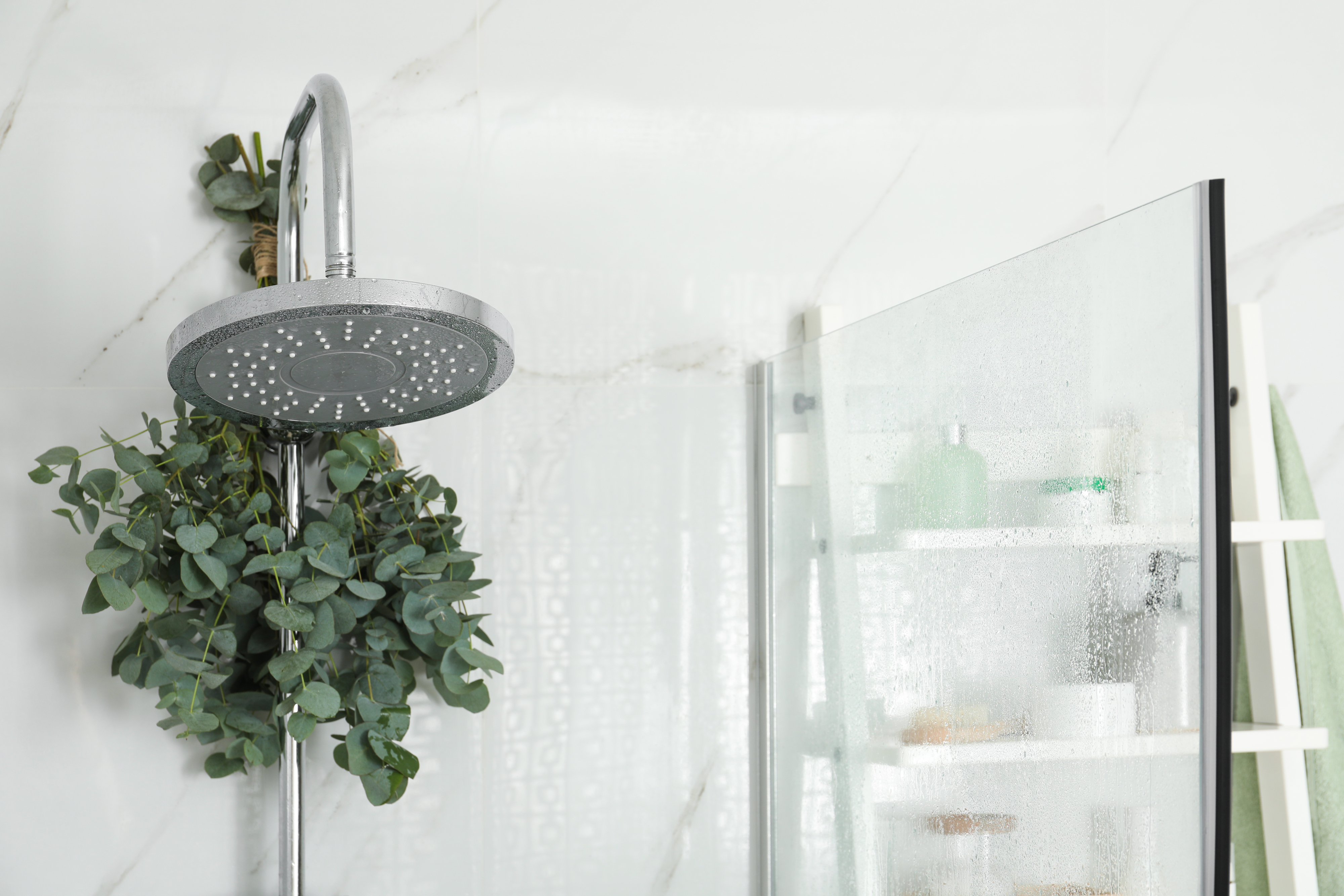 A modern shower head in a bathroom, adorned with green eucalyptus branches. A glass shower door is partially visible in the background