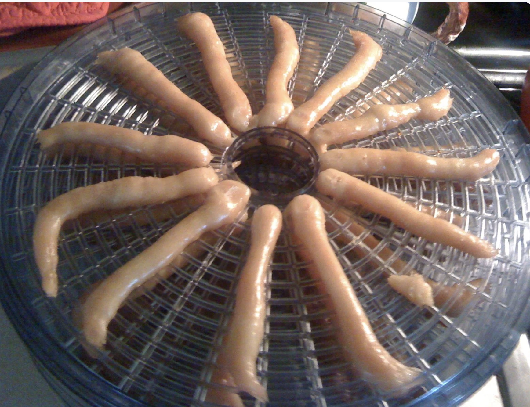 A food dehydrator filled with long, curved strips of raw chicken being prepared for drying