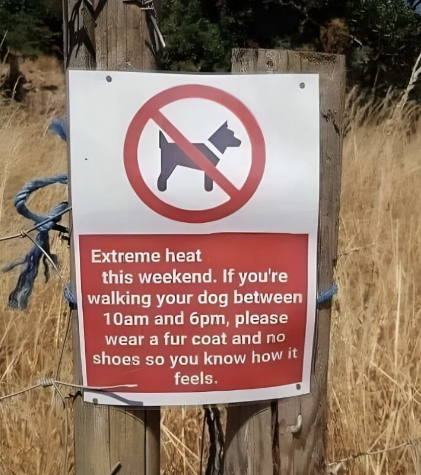 Sign on a wooden post reads: &quot;Extreme heat this weekend. If you&#x27;re walking your dog between 10am and 6pm, please wear a fur coat and no shoes so you know how it feels.&quot;