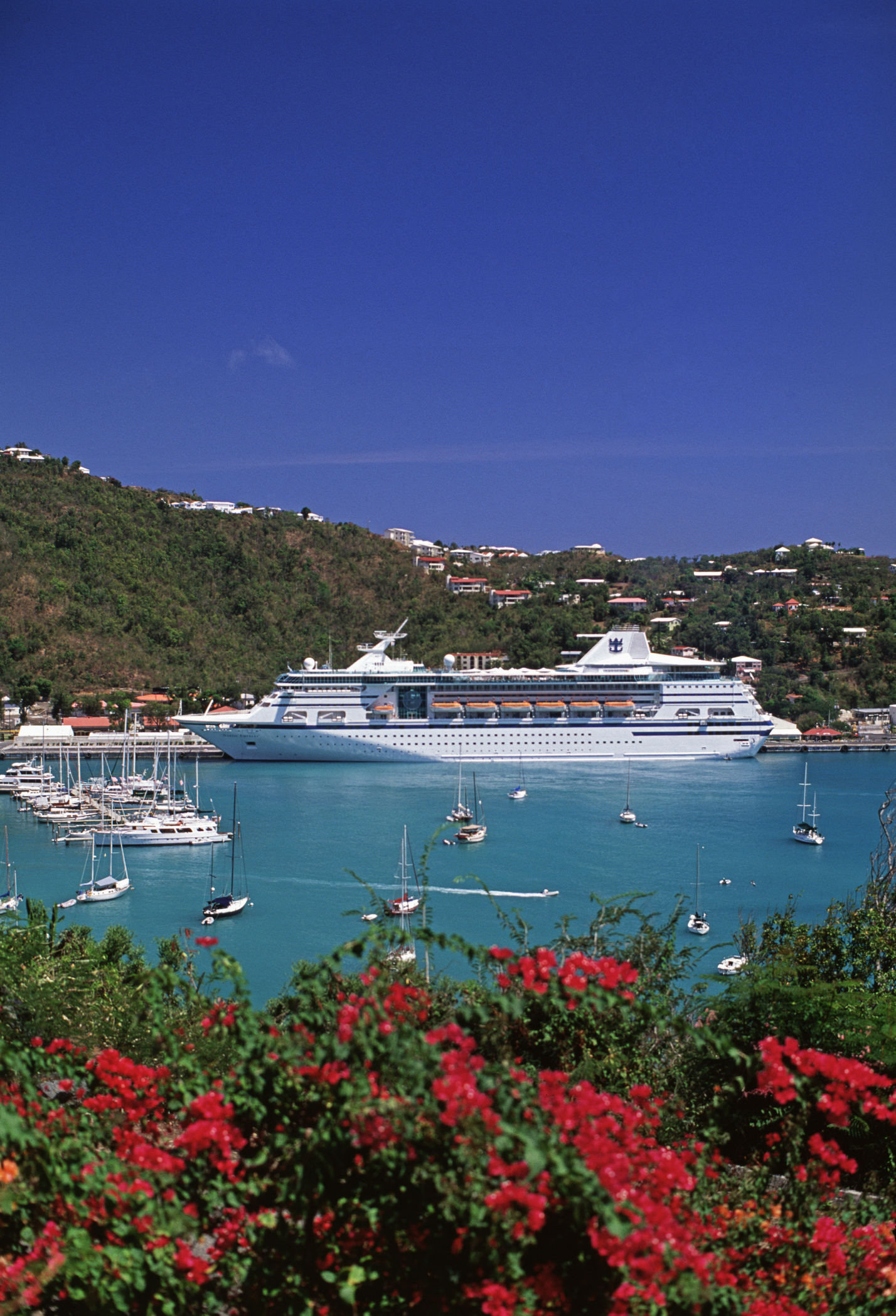 Cruise ship docked near a mountainous coast with boats and yachts in the foreground. Houses are scattered over the hills, and bright flowers are in the front