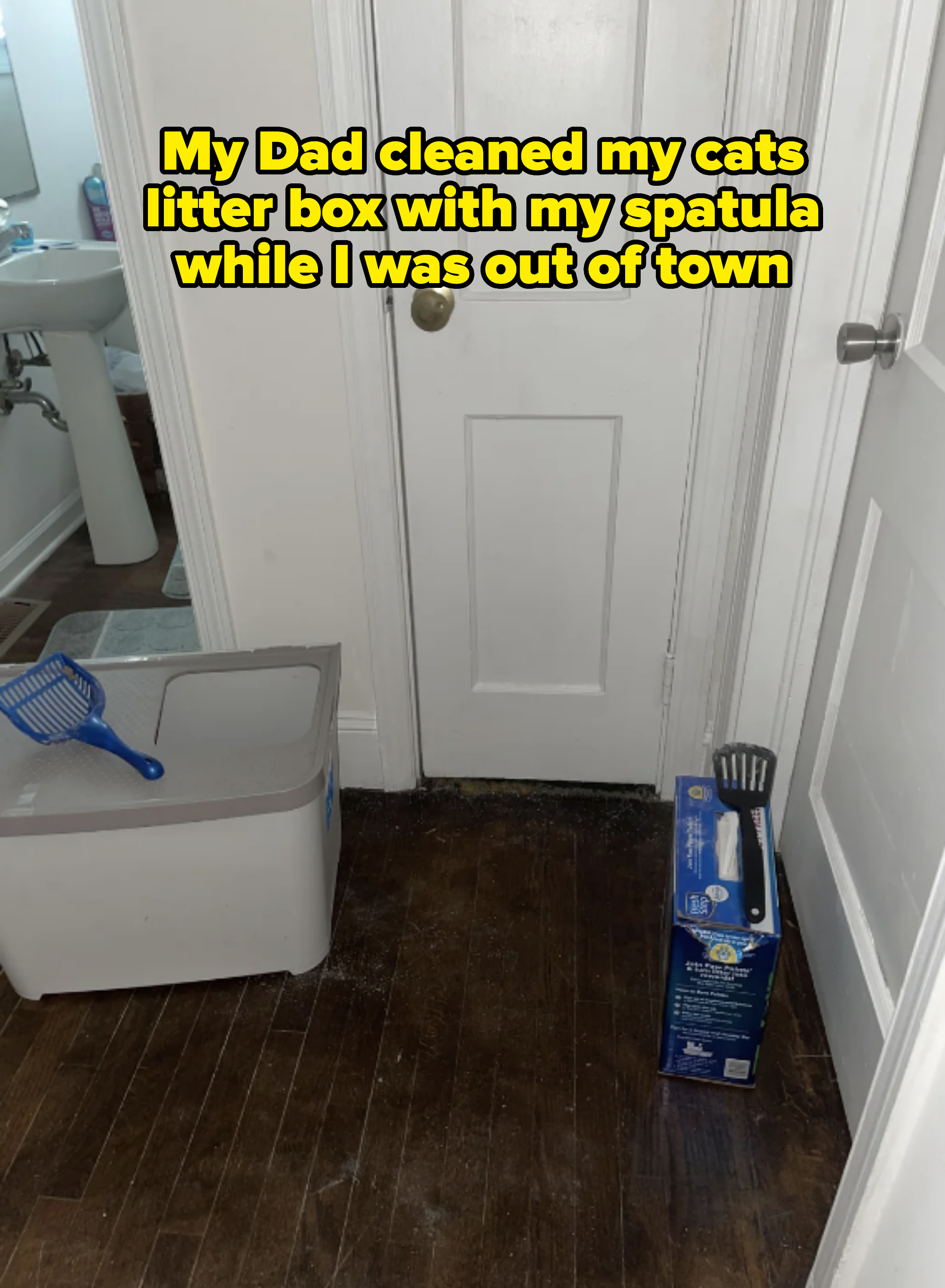 A hallway with wooden floors. A litter box with a scoop is on the left, and a box of cat litter with a scoop stands against the wall on the right