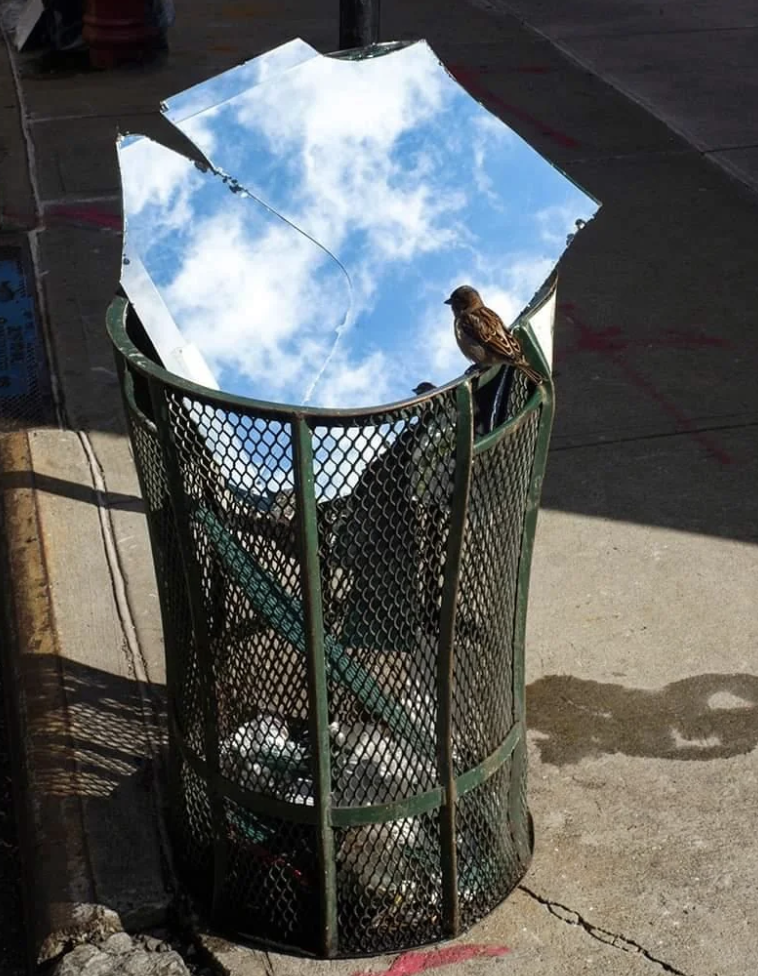 Broken mirror pieces in a trash can reflect the sky with clouds; a small bird is perched on the edge