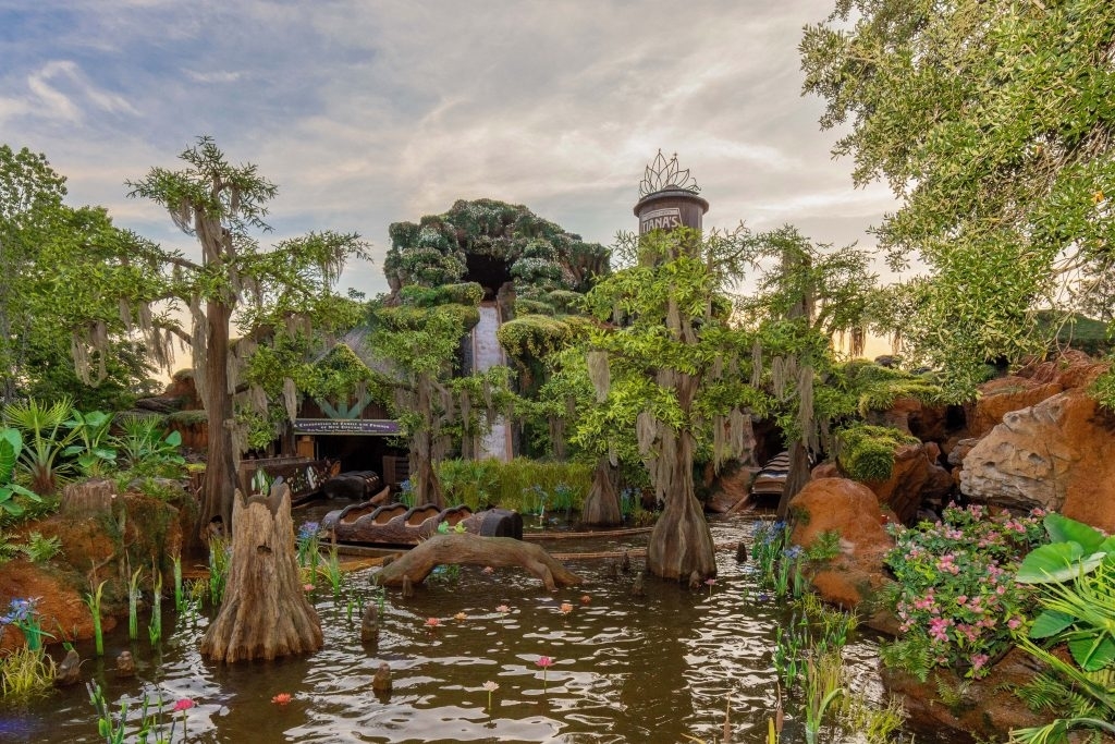 Splash Mountain ride at Disney World with a log flume, lush vegetation, and a mountain backdrop with a splashdown pool