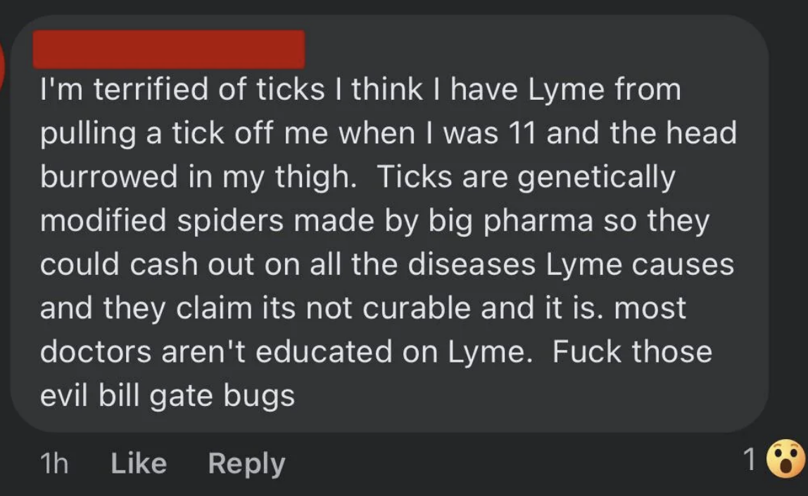 Comment expressing fear of ticks and Lyme disease, suggesting ticks are genetically modified spiders created by big pharma, and criticizing doctors and ticks