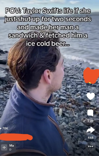 A man stands on a rocky beach looking at the ocean. Text reads, &quot;POV: Taylor Swift&#x27;s life if she just shut up for two seconds and made her man a sandwich &amp;amp; fetched him a ice cold beer...&quot;