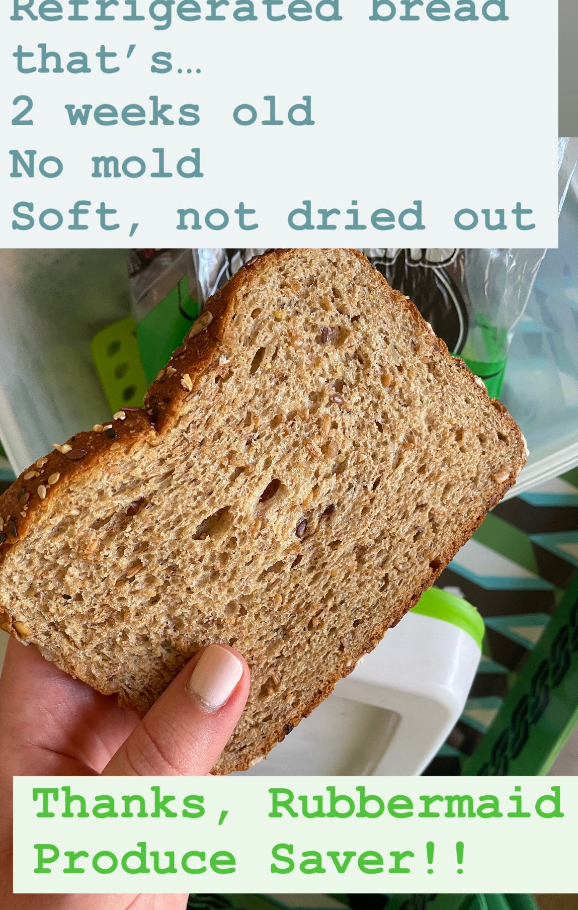 Refrigerated bread that’s 2 weeks old, no mold, soft, not dried out. Thanks, Rubbermaid Produce Saver