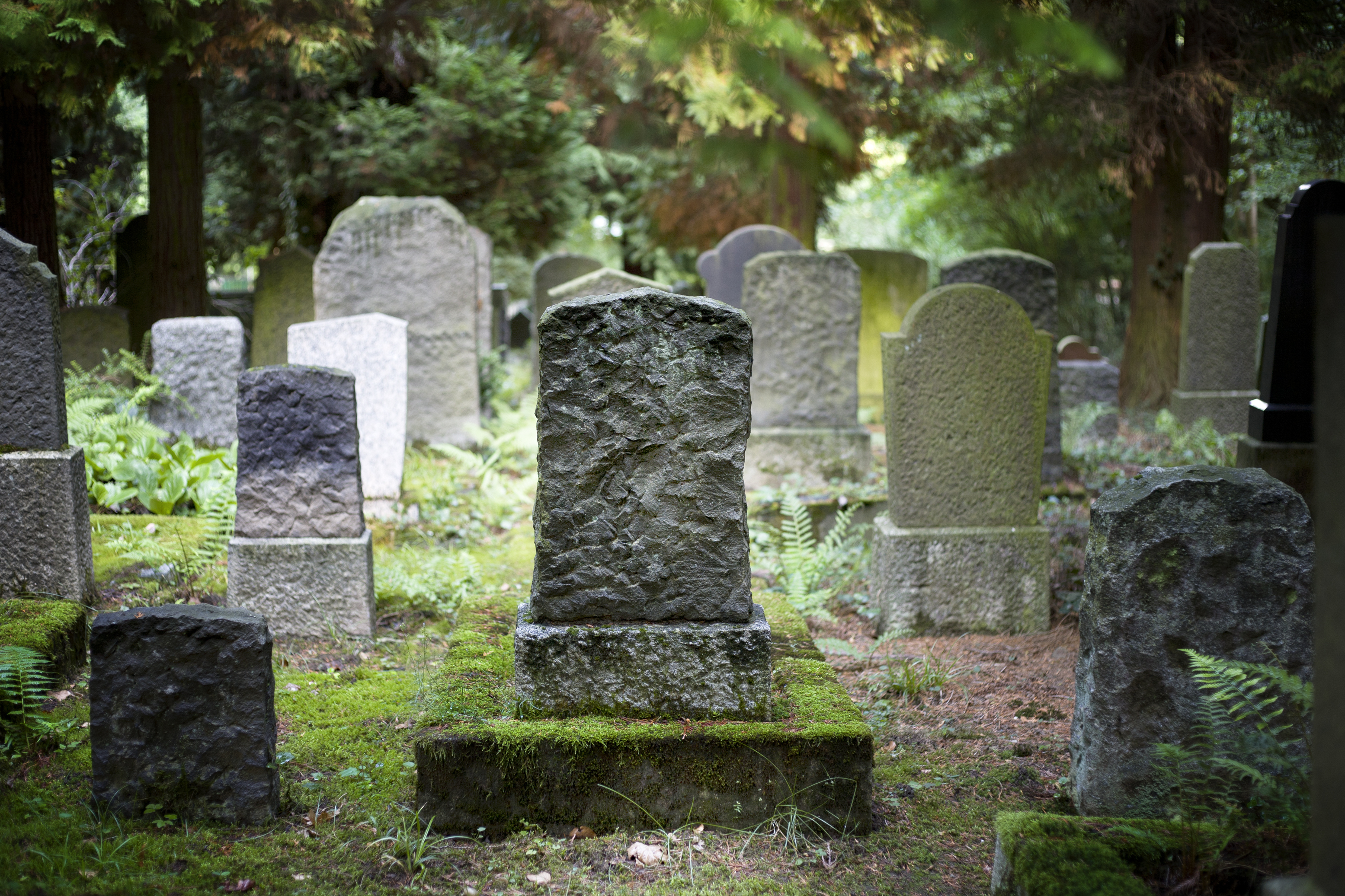 A serene cemetery scene featuring various aged tombstones of different shapes and sizes with moss and greenery surrounding them. No people are present