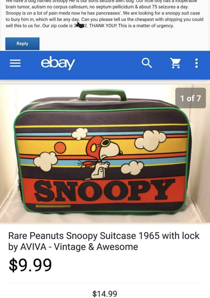 A vintage Peanuts Snoopy suitcase from 1965 is sold on eBay for $9.99. An urgent Facebook message above seeks a second Snoopy suitcase for a child&#x27;s medical needs