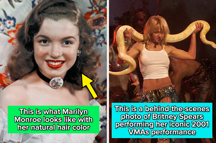 Marilyn Monroe with natural hair; Britney Spears backstage holding a snake during her 2001 VMAs performance