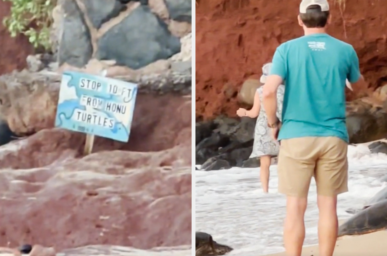 A man in shorts and a hat stands near a sign by the shore that reads &quot;STOP 10 FT FROM HONU TURTLES&quot;. A woman in a dress walks by the water