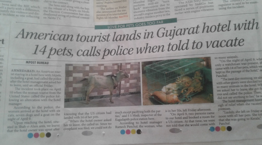 Newspaper headline: &quot;American tourist lands in Gujarat hotel with 14 pets, calls police when told to vacate.&quot; Reports on the incident involving a goat and a cat in cages