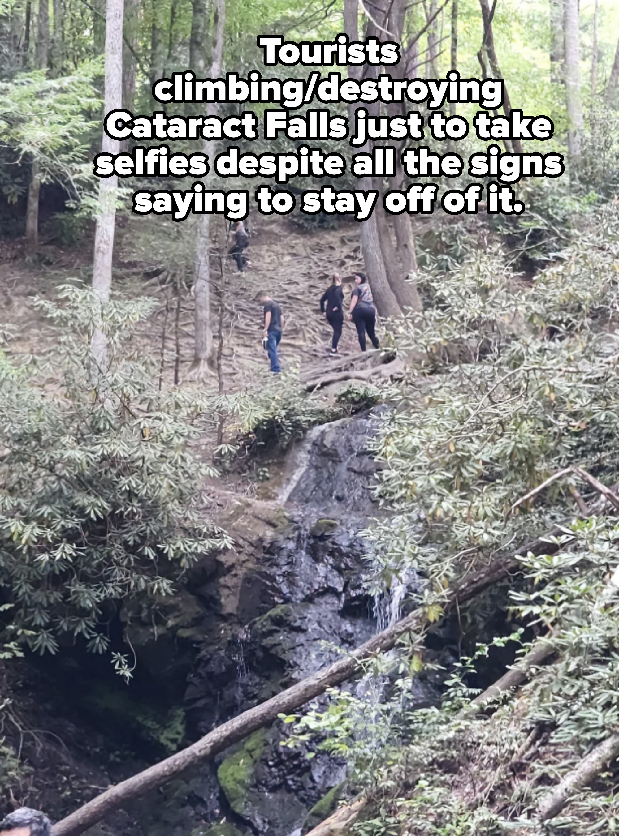 Three individuals stand above a small waterfall in a forested area, surrounded by trees and foliage