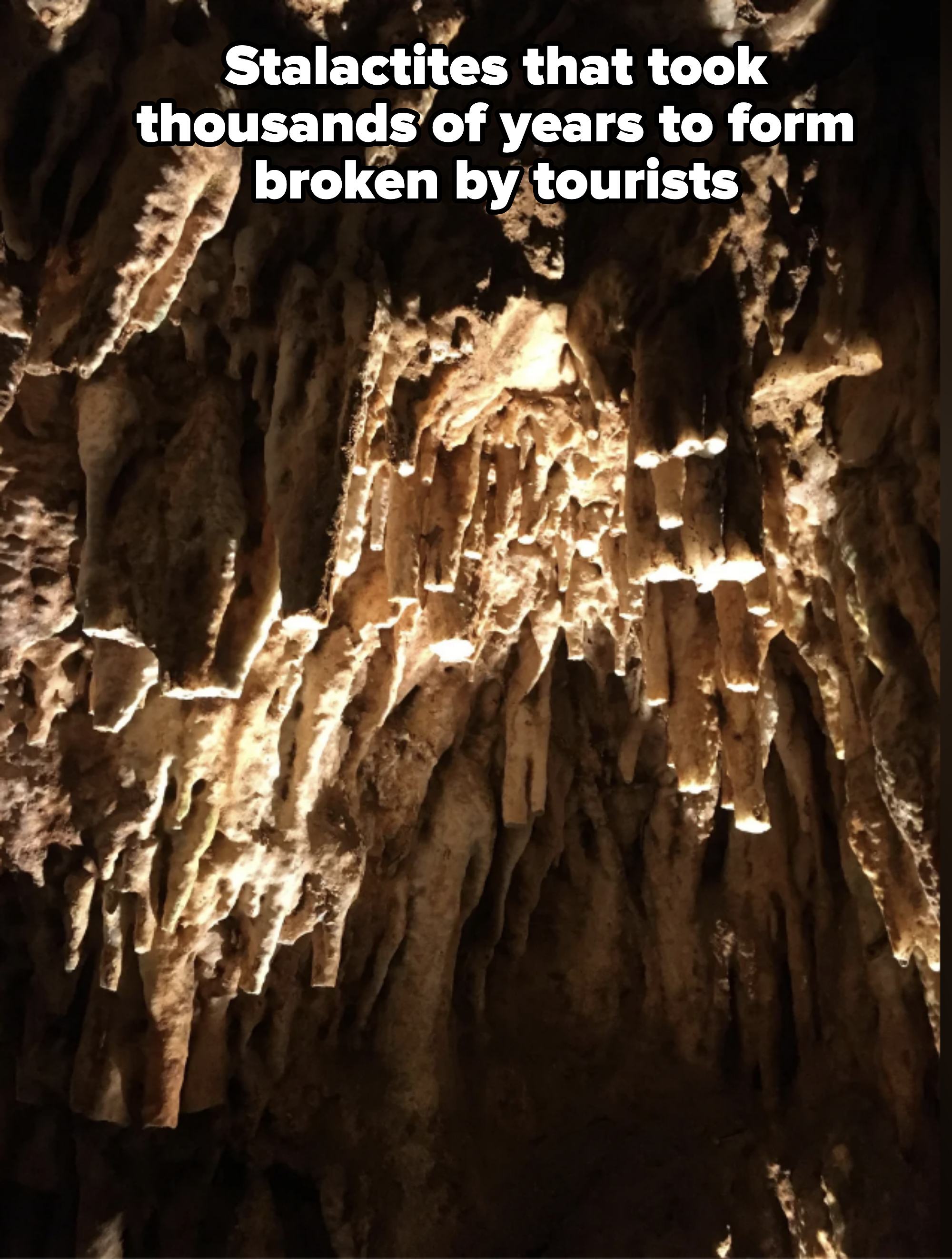 A cave&#x27;s interior with illuminated stalactites and stalagmites hanging from the ceiling