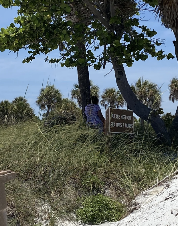 Person in a purple shirt standing under a tree by a sign that reads &quot;Please Keep Off Sea Oats &amp;amp; Dunes&quot; near a beach area