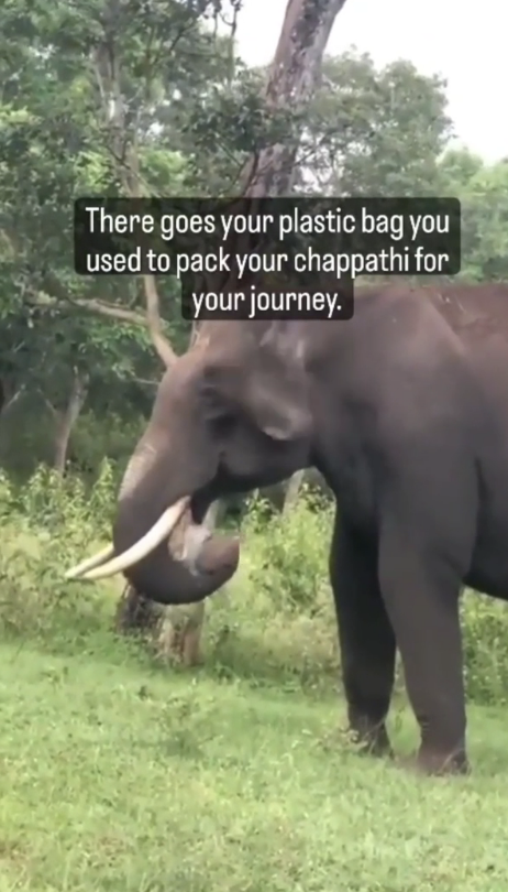 An elephant in a forest area picks up a plastic bag with its trunk. The overlaid text reads, &quot;There goes your plastic bag you used to pack your chappathi for your journey.&quot;