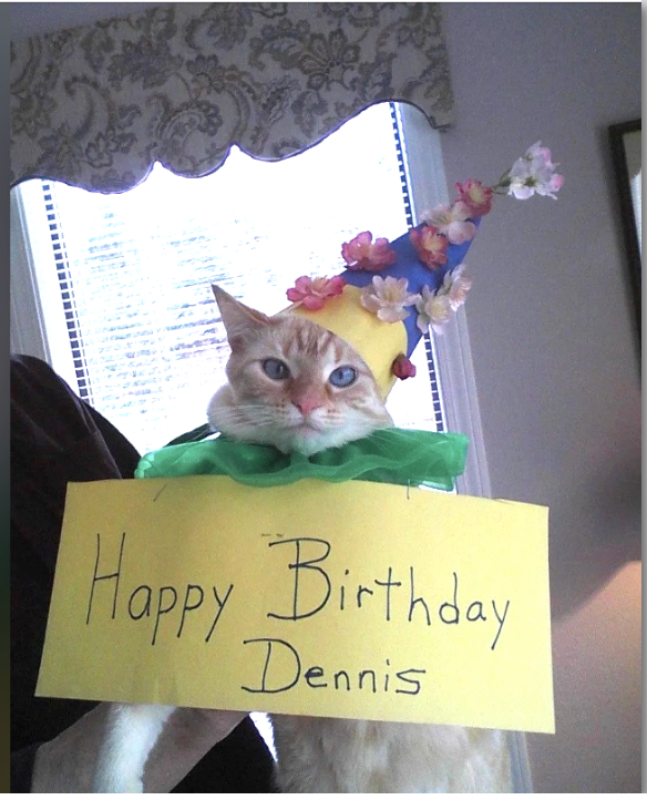 A cat named Dennis wears a festive hat with flowers and a green collar, holding a sign that says &quot;Happy Birthday Dennis&quot; in a home setting