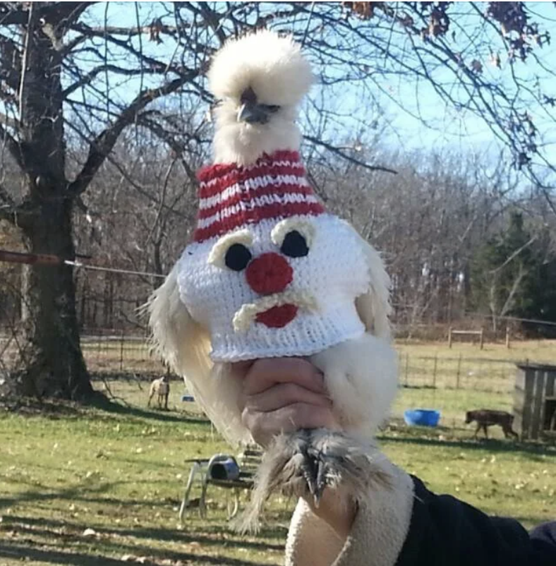 A person holds a chicken dressed in a knit Santa hat and beard costume outdoors on a sunny day, with trees and a field in the background