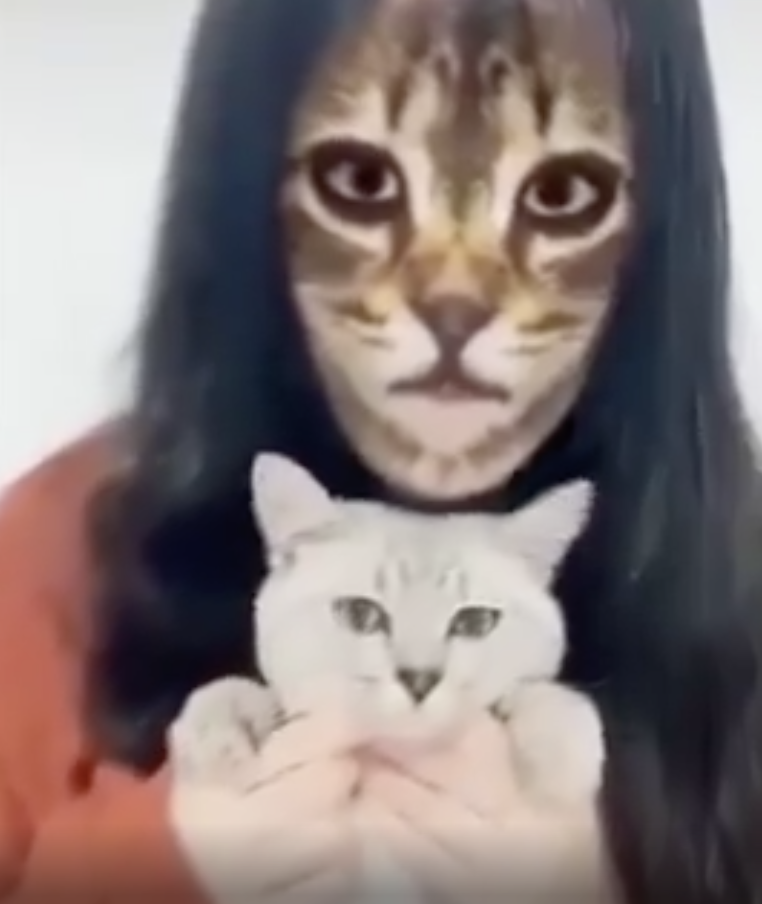 Person uses a cat-face filter while holding a cat; both have similar feline faces